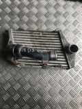 Ladeluftkühler Audi A8 (4E) 4E0145806A