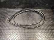 Türgummi rechts vorne Nissan Murano II (Z51)