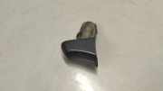Türaußengriff hinten links BENTLEY FLYING SPUR (3W_) 6.0 3w0837168j