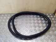 Dichtungsgummi der hinteren Tür (an der Karosserie) VW PASSAT B7 (362) 1.6 TDI 3C9867913B