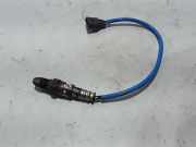 Sauerstoffsensor (Lambdasensor)