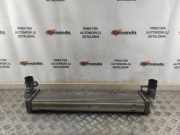 Ladeluftkühler RENAULT ESPACE IV (JK0/1_) 2.0 dCi (JK03, JK04) 8200301883B 878046G