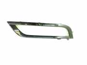 Gitter vorne unten VW PASSAT B7 (362) 1.6 TDI 3AA853211B