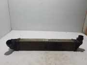 Ladeluftkühler RENAULT SCÉNIC III (JZ0/1_) 1.6 dCi (JZ00, JZ12) 144969568R