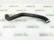 Schlauch Kühlung MERCEDES-BENZ M (W164) ML 350 4-matic (164.186) 1645010482 A1645010482