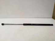 Heckklappe Gasdruckfeder links