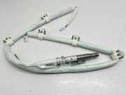 SRS Modul Dach links BMW X1 (F48) xDrive 25 i 735260410