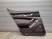 Türpolster hinten links PORSCHE PANAMERA (970) 4.8 4S