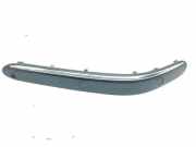 Front Bumper Center Moulding MERCEDES-BENZ S (W220) S 63 AMG