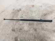 Gasfeder für Motorhaube Audi A4 (8E, B7) 2323900