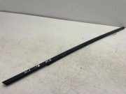 Türleiste hinten rechts