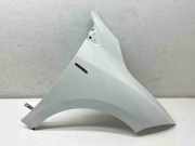 Kotflügel rechts vorne Renault Megane III Schrägheck (BZ)