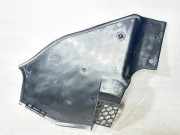 Abdeckkappe Scheinwerferwaschanlage links BMW X3 (G01, F97) xDrive 30 i 51717399017