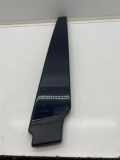 Türverkleidung vorne links AUDI A6 Avant (4F5, C6) 2.0 TDI 4F0853289A