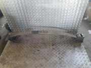 Blattfeder hinten links