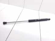 Heckklappe Gasdruckfeder rechts RENAULT CLIO II (BB0/1/2_, CB0/1/2_) 1.2 LPG 21017305 7700842256C