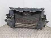 Radiator Pack Set RENAULT MEGANE III Hatchback (BZ0_) 1.6 dCi (BZ00, BZ12) 100057RG9
