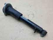 Stoßdämpfer hinten rechts BMW X5 (E70) 3.0 d 14941510 678193201