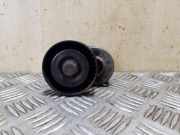 Riemenspanner VW PASSAT B7 (362) 2.0 TDI 038903315AH