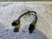 Sauerstoffsensor (Lambdasensor) MERCEDES-BENZ B (W245) B 180 CDI (245.207) 0007067296