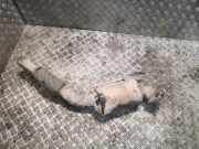 Katalysator MERCEDES-BENZ VITO Furgon (W447) 116 CDI (447.601, 447.603, 447.605) A4474901414 4474900183