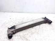 Ladeluftkühler FORD GALAXY (WGR) 1.9 TDI 13200248a 0823856