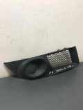 Gitter vorne unten FIAT DOBLO Cargo (223_) 1.3 D Multijet