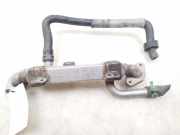 Abgaskühler VW Sharan (7M) 038131513C