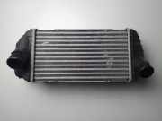 Ladeluftkühler Kia Sportage 4 (QL, QLE) 2827028743
