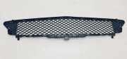 Kühlergrill unten Mercedes-Benz B-Klasse Sports Tourer (W246, W242) A2468851122