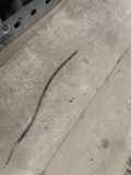 Handbremskabel PEUGEOT 1007 (KM_) 1.4 HDi