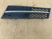 Gitter vorne unten BMW 5 (F10) 520 d 7200699