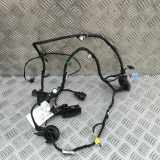 Kabel der vorderen linken Tür AUDI Q2 (GA) 35 TFSI 81A971029AG