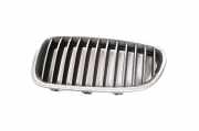 Vorderer oberer Gitter BMW 5 (F10) 520 d 7200727