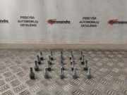 Schrauben RENAULT KADJAR (HA_, HL_) 1.6 TCe 165