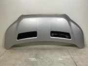 Motorhaube FORD TRANSIT 2.0 TDCi 2485550