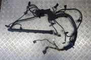 Motor Kabelbaum BMW X3 (E83) 2.5 i