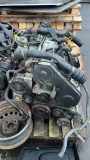 Motor FORD FOCUS (DAW, DBW) 1.8 TDCi FFDA