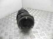 Federsatz BMW X1 (E84) 6851333