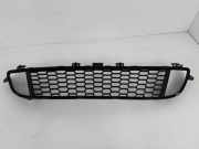 Gitter vorne unten BMW 1 (F20) 125 d 8055434
