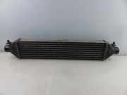 Ladeluftkühler FIAT BRAVO II (198_) 1.9 D Multijet 866455500