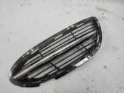 Gitter vorne unten MERCEDES-BENZ S (W222, V222, X222) S 350 BlueTEC 4-matic (222.133) 16547