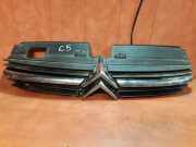 Vorderer oberer Gitter CITROËN C5 I Break (DE_) 1.8 16V (DE6FZB, DE6FZE) 9636751980