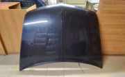 Motorhaube RENAULT VEL SATIS (BJ0_) 2.2 dCi (BJ0E, BJ0F)