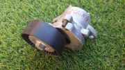 Riemenspanner OPEL INSIGNIA A Sedan (G09) 2.0 CDTI (69) 8641103020