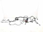 Kabelbaum MERCEDES-BENZ C (W204) C 220 CDI (204.008) 0631440