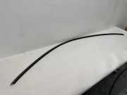 Dachleiste links AUDI A4 (8K2, B8) 2.0 TDI