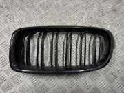 Vorderer oberer Gitter BMW 3 Touring (F31) 330 d
