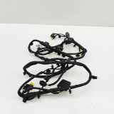 Kabelbaum Vorderen Parksensoren BMW 5 (G60) 520 i Mild-Hybrid 61125A86169 5A86169