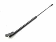 Heckklappe Gasdruckfeder links TOYOTA C-HR (_X1_) 1.8 Hybrid (ZYX10_) 68960-F4061